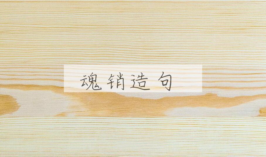 用魂销造句