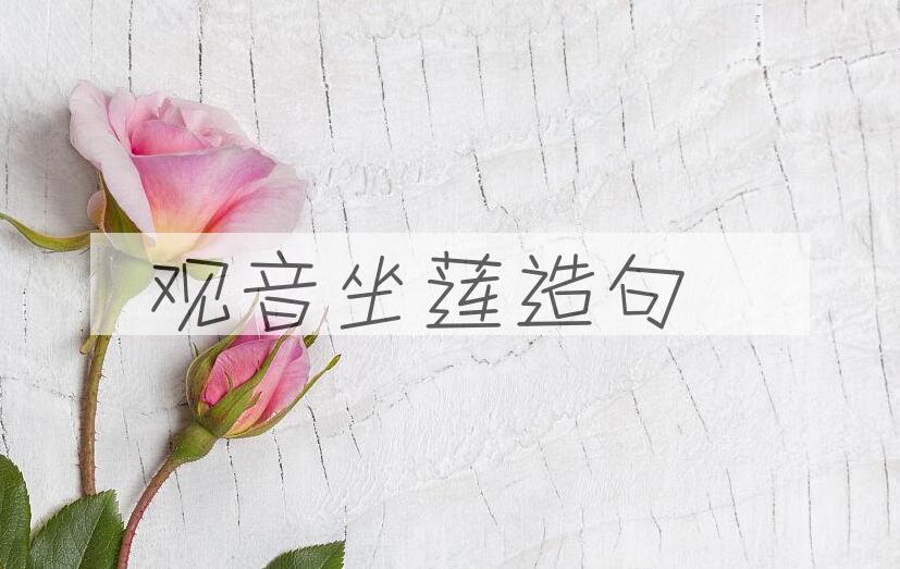 用观音坐莲造句