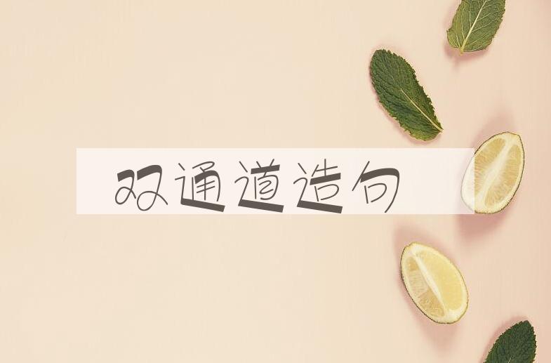 用双通道造句