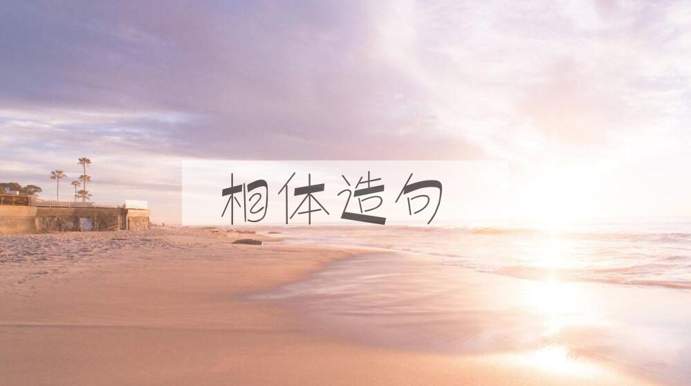 用相体造句