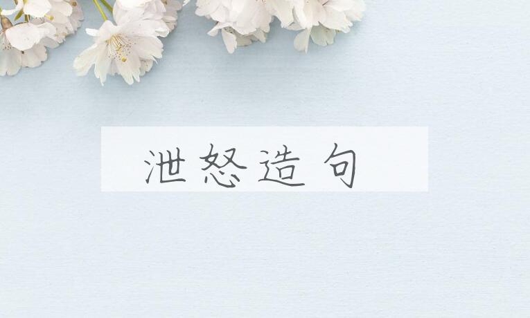 用泄怒造句