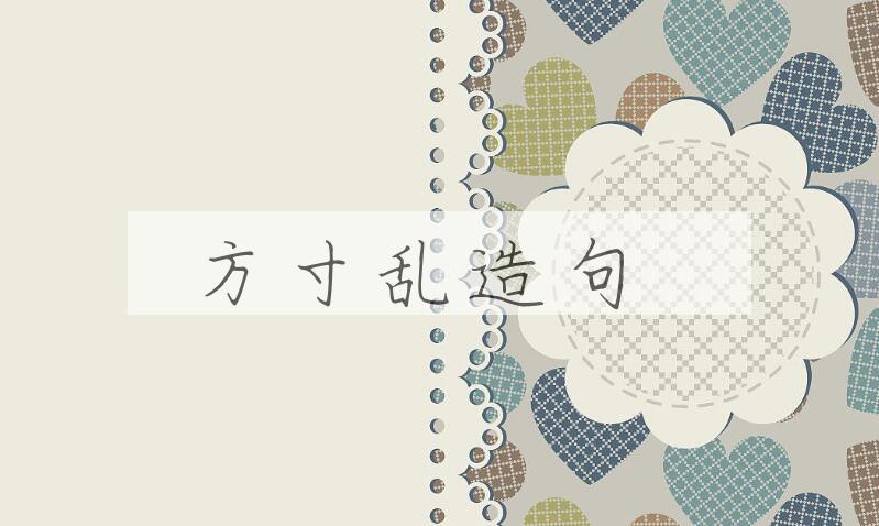 用方寸乱造句
