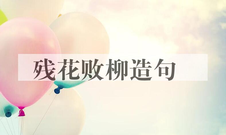 用残花败柳造句