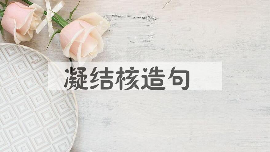 用凝结核造句