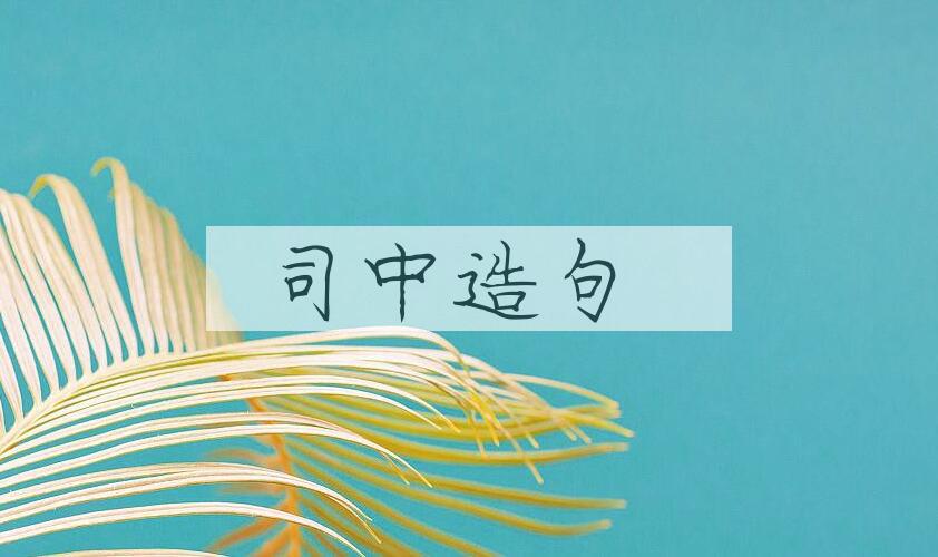 用司中造句