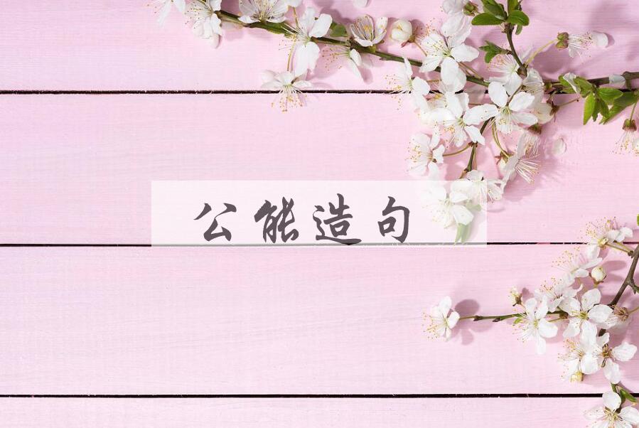 用公能造句