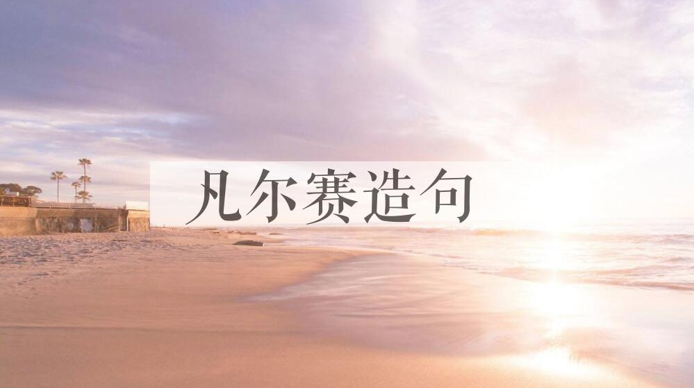用凡尔赛造句