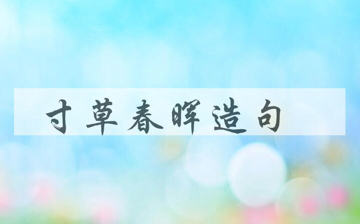 用寸草春晖造句
