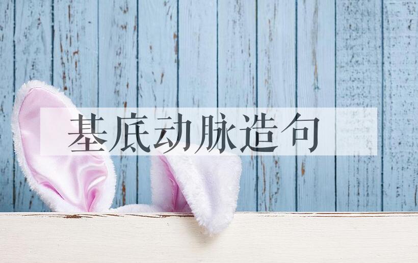 用基底动脉造句