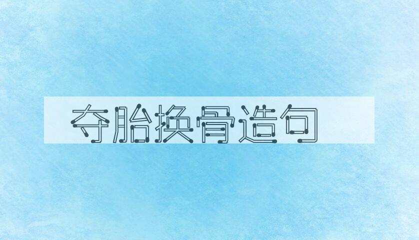 用夺胎换骨造句