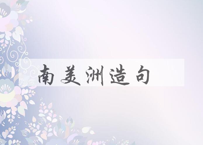 用南美洲造句