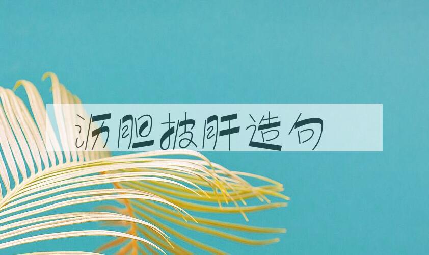 用沥胆披肝造句