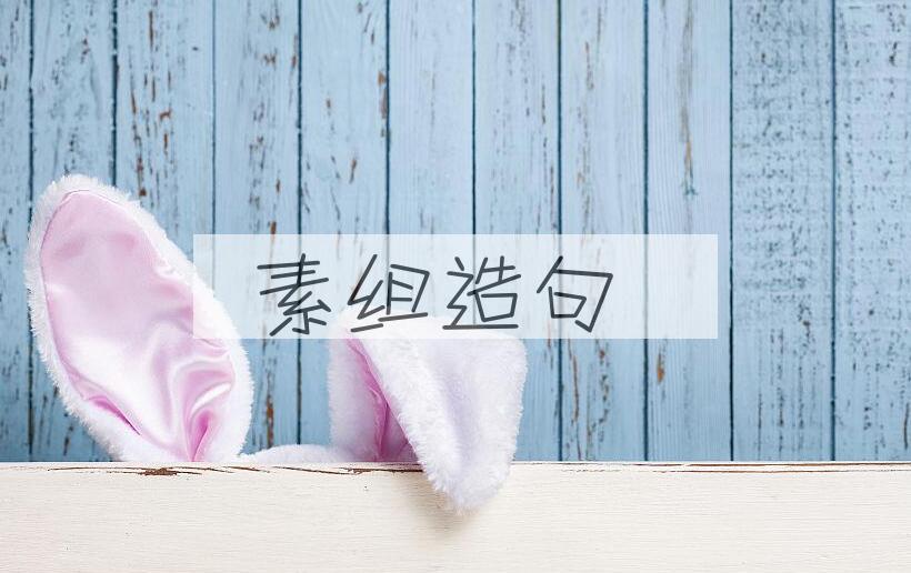 用素组造句