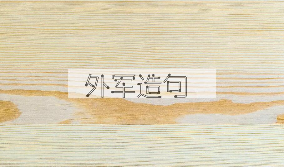 用外军造句