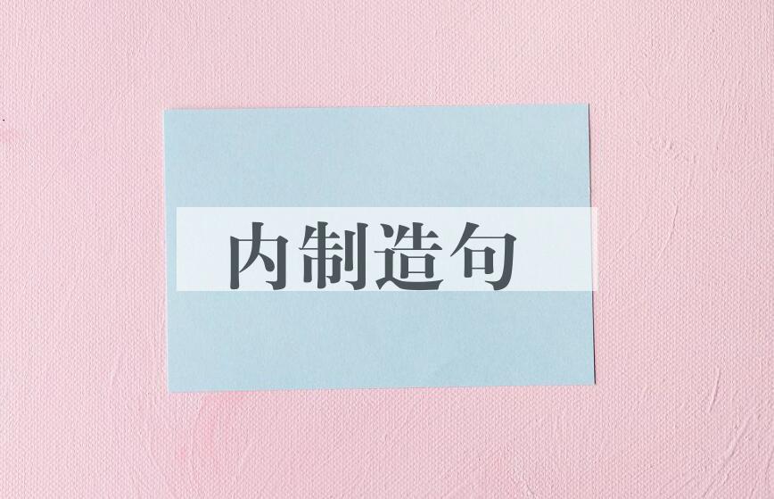 用内制造句