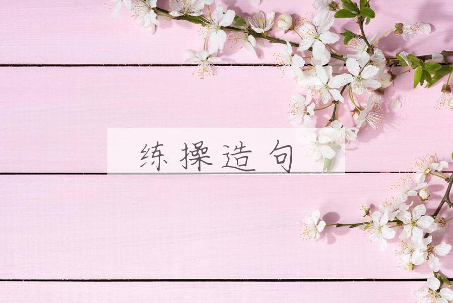 用练操造句