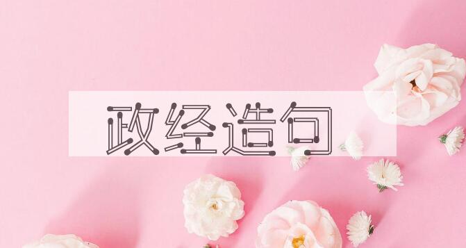 用政经造句