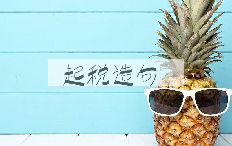 用起税造句
