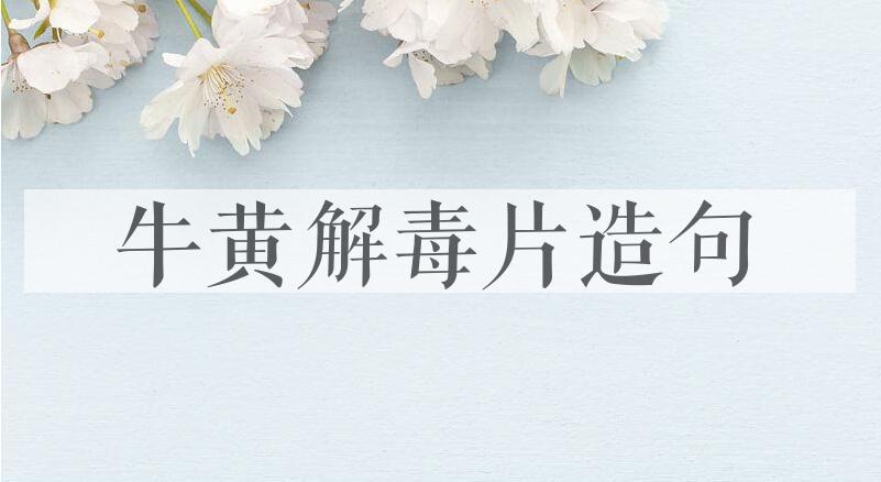 用牛黄解毒片造句