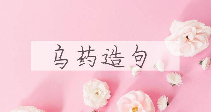 用乌药造句