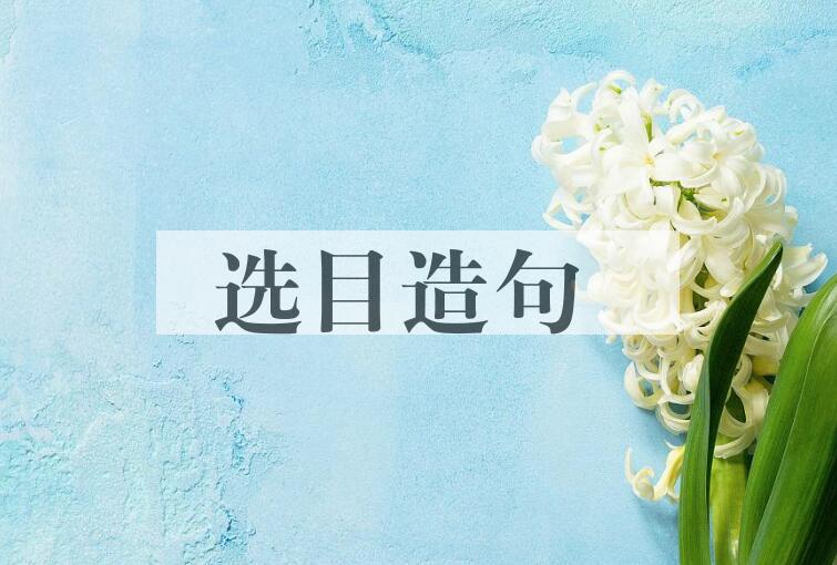用选目造句