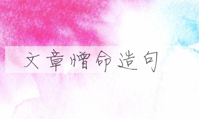 用文章憎命造句
