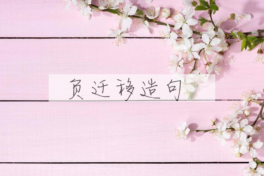 用负迁移造句