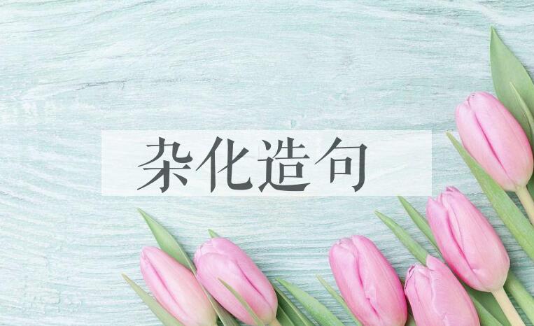 用杂化造句