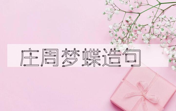 用庄周梦蝶造句