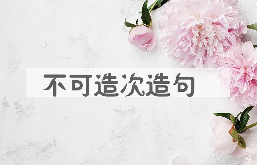 用不可造次造句