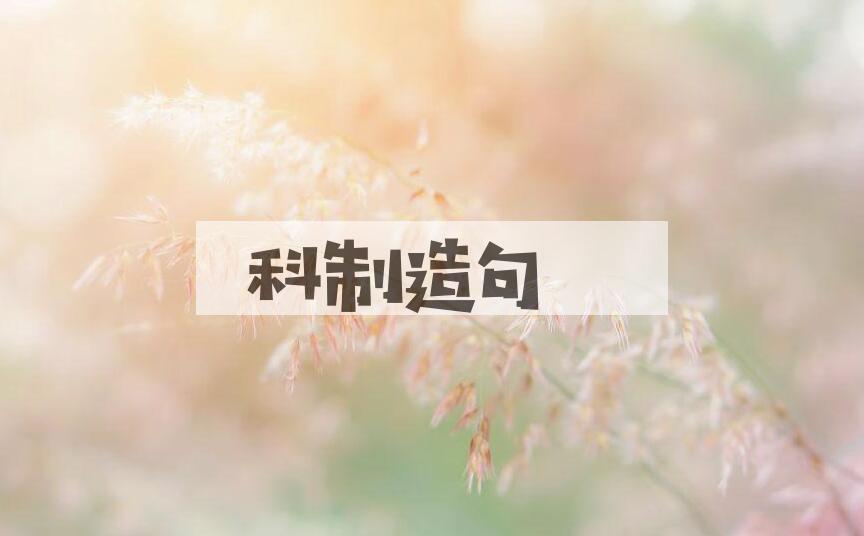 用科制造句
