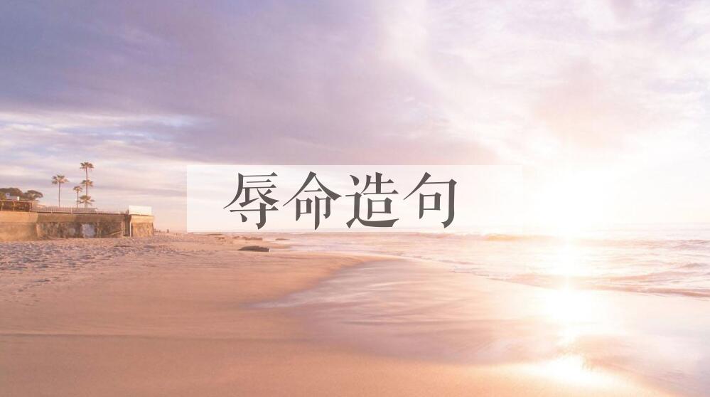 用辱命造句
