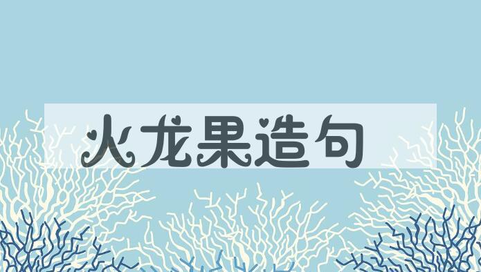用火龙果造句