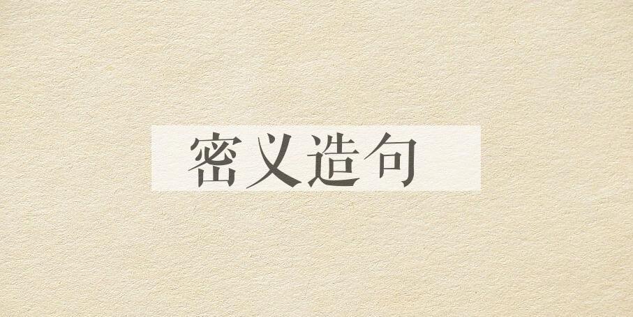 用密义造句