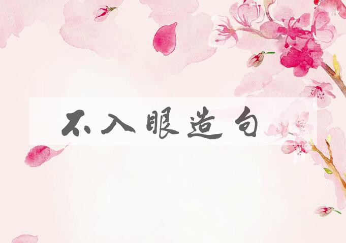 用不入眼造句