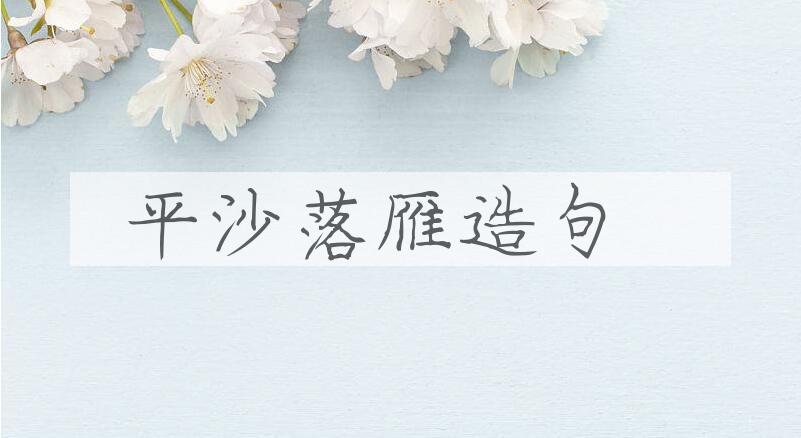 用平沙落雁造句