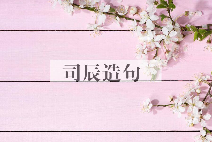 用司辰造句