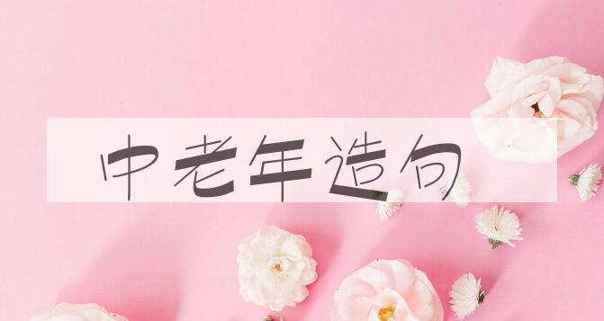 用中老年造句