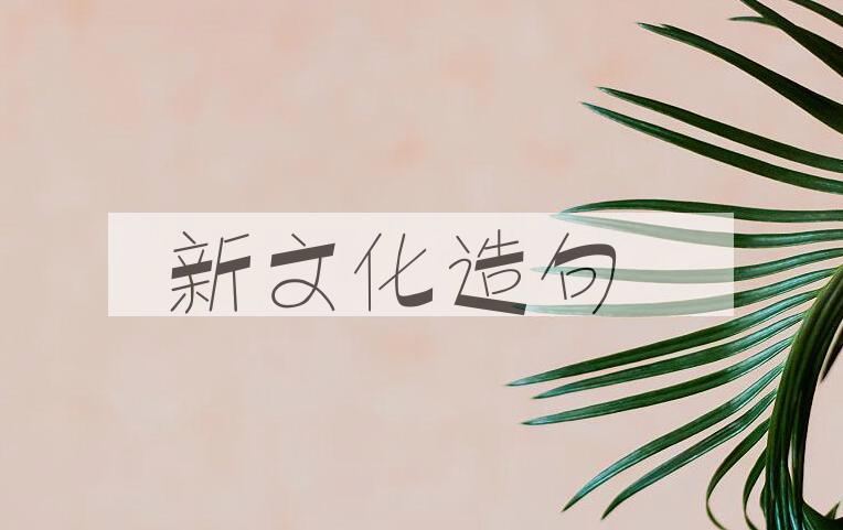 用新文化造句