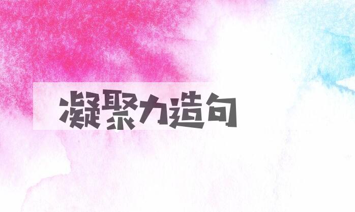 用凝聚力造句