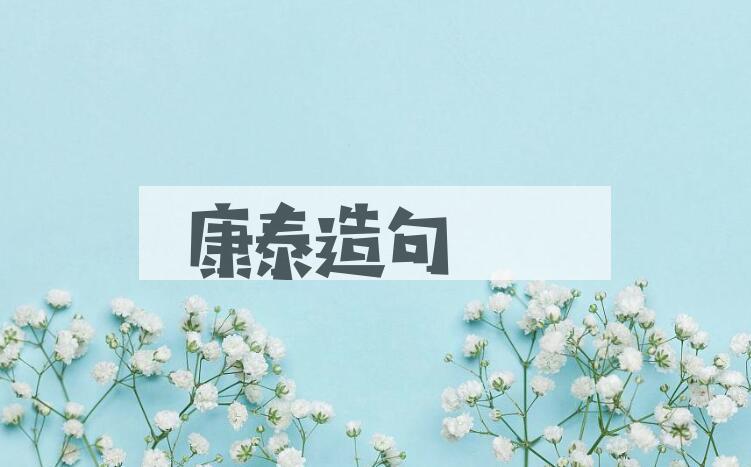 用康泰造句