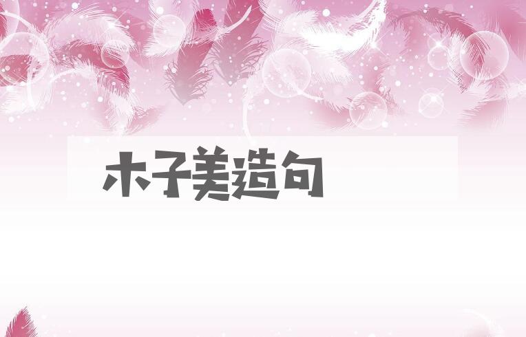 用木子美造句