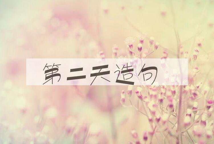 用第二天造句