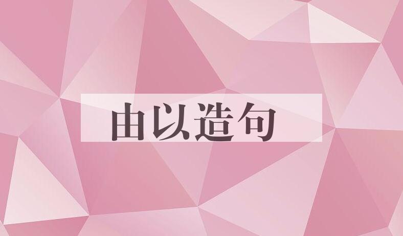 用由以造句