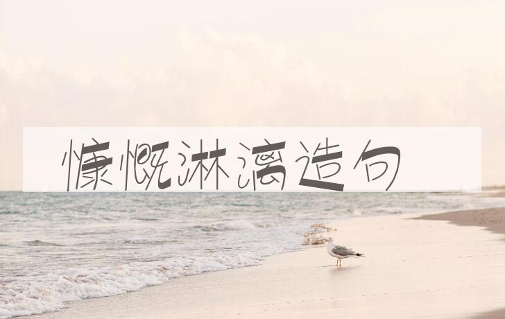 用慷慨淋漓造句