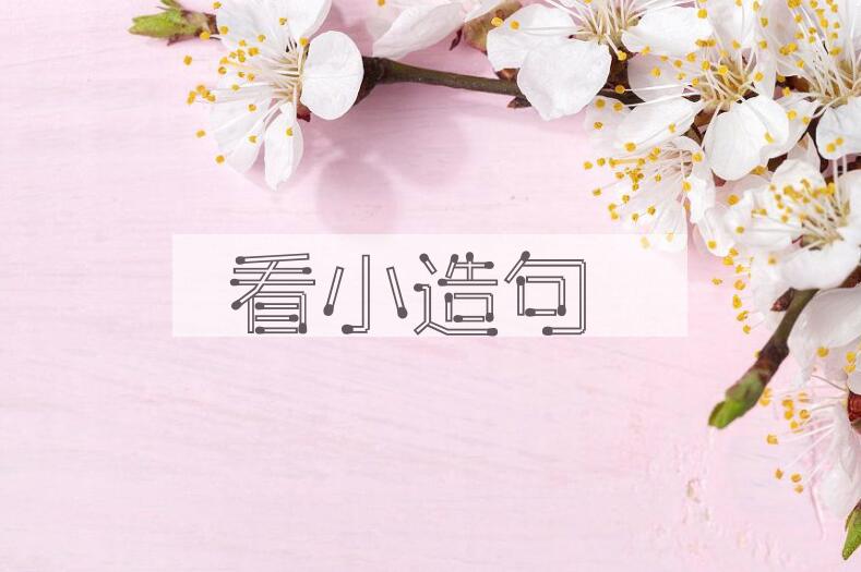 用看小造句
