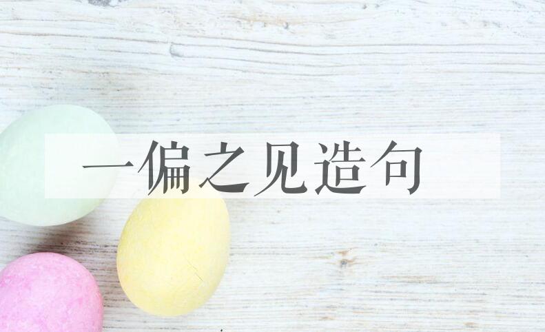 用一偏之见造句