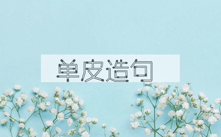 用单皮造句