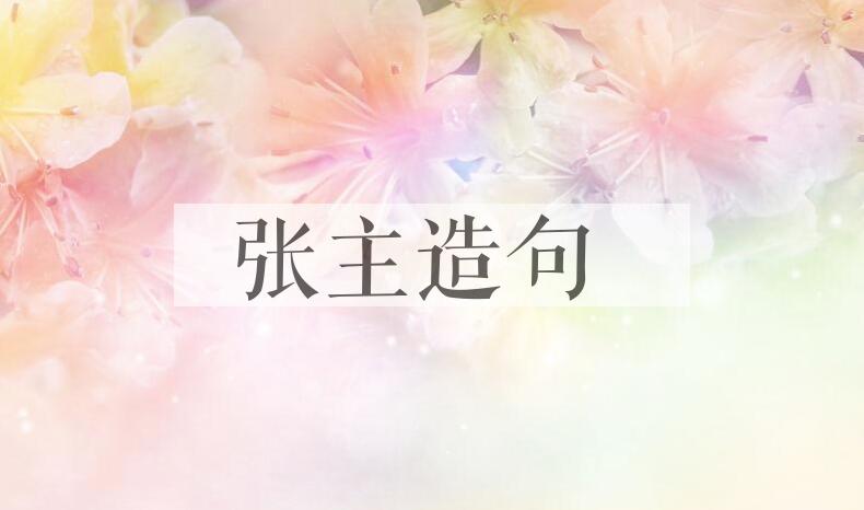 用张主造句