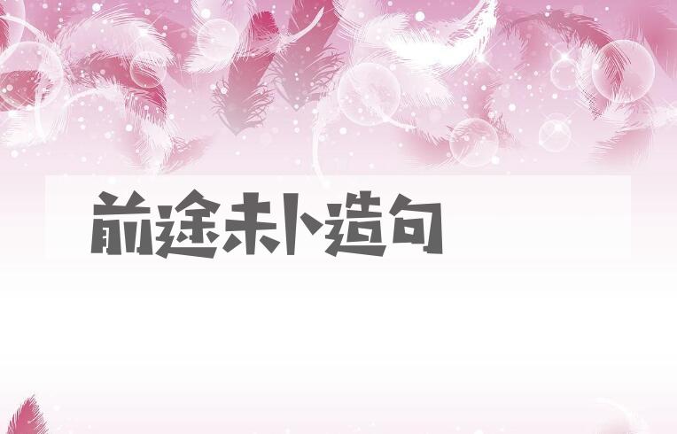 用前途未卜造句